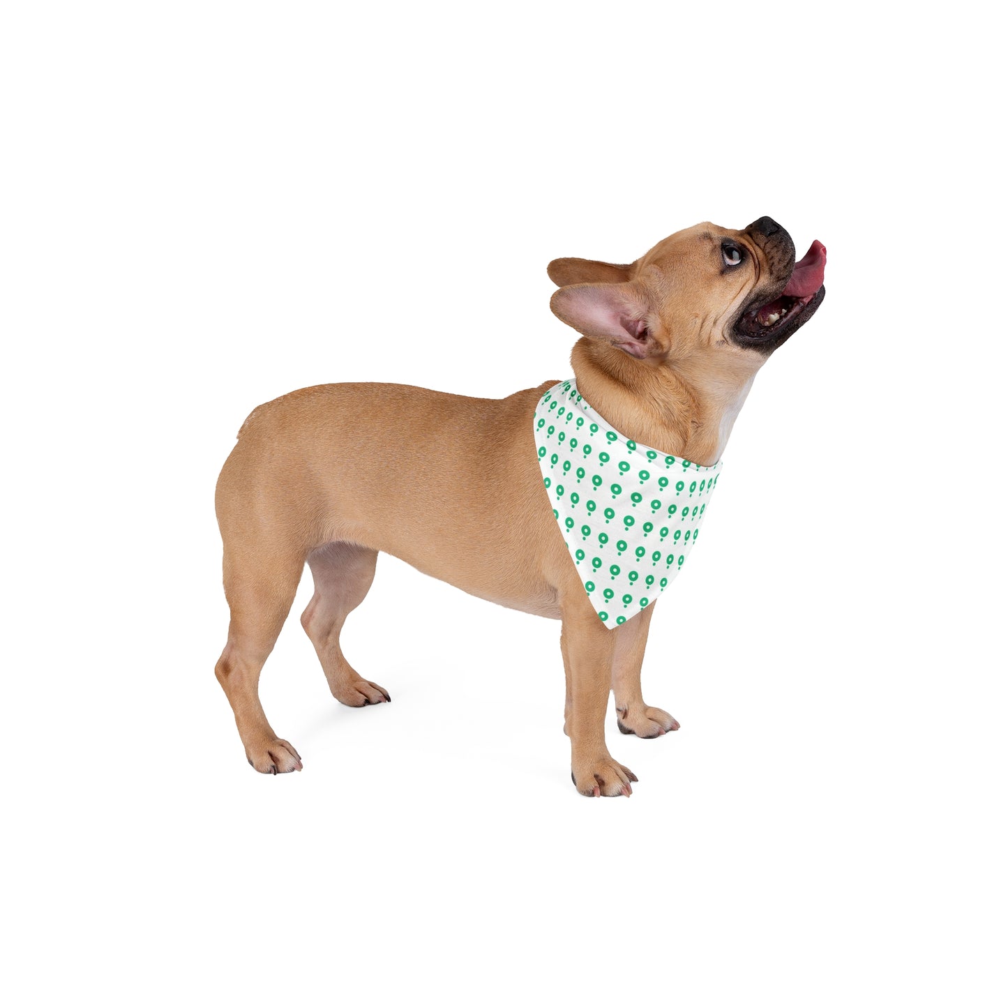 Bolt Pet Bandana White